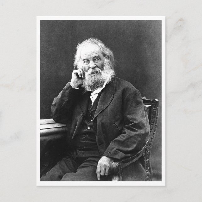 Cartão Postal Citação Motivacional "Legal e Composta" (Frente)