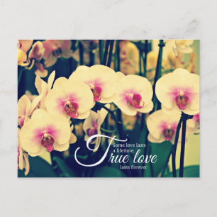 Cartão Postal Citação romântica de inspiração