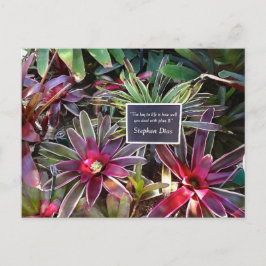 Cartão Postal Citação Stephen Dias do Jardim Botânico da Flórida