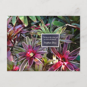 Cartão Postal Citação Stephen Dias do Jardim Botânico da Flórida