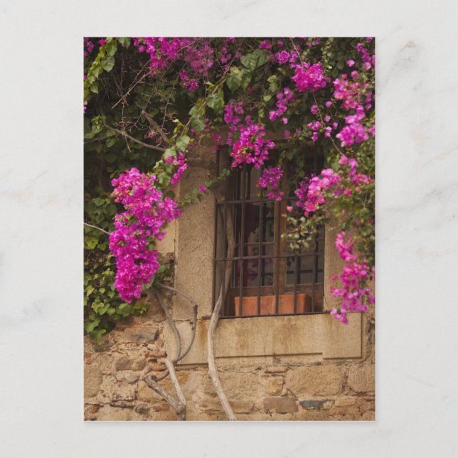 Cartão Postal Ciudad Monumental, edifícios cobertos de flores (Frente)
