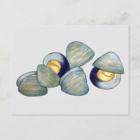 Clams Clambake Rhode Island New England Seafood
