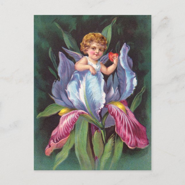 Cartão Postal Clapsaddle: Flor Cherub Iris (Frente)