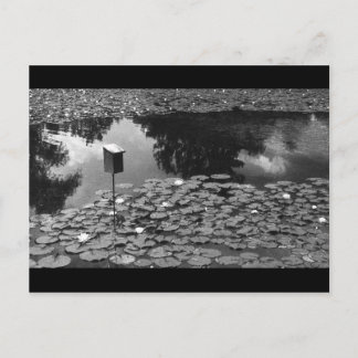 Cartão Postal Clareza