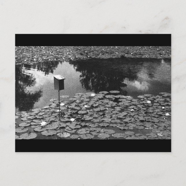 Cartão Postal Clareza (Frente)