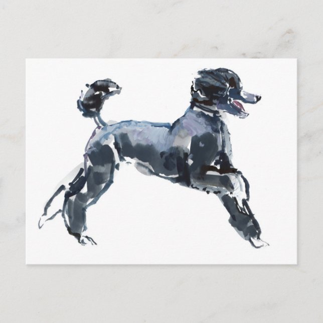 Cartão Postal Classe completa 2013 (Frente)