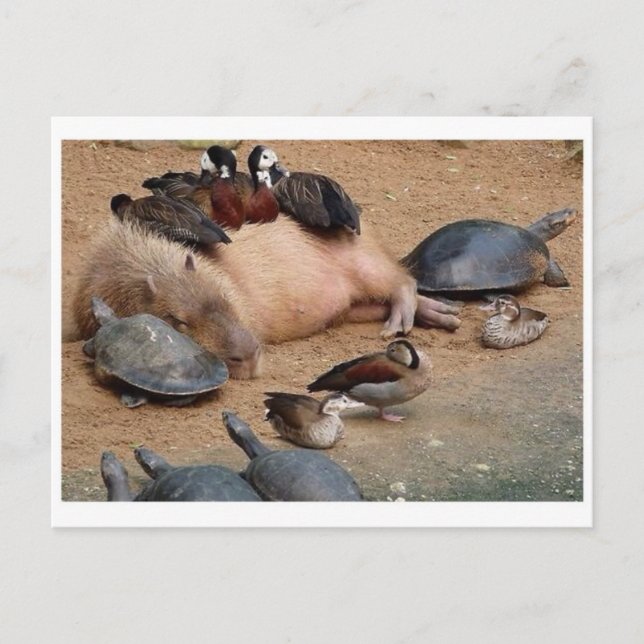 Cartão postal clássico (Frente)