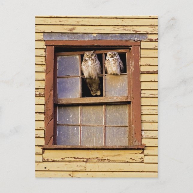 Cartão postal clássico (Frente)