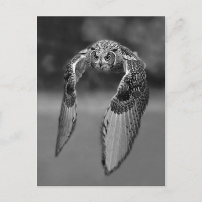 Cartão postal clássico (Frente)