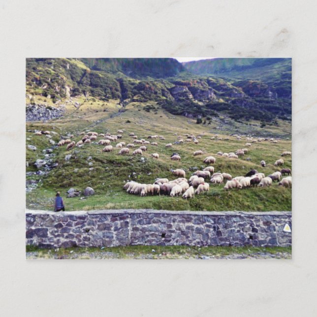 Cartão postal clássico (Frente)