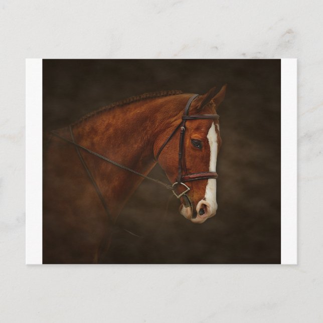 Cartão Postal Clássico (Frente)