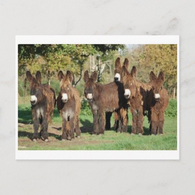 Cartão postal clássico (Frente)