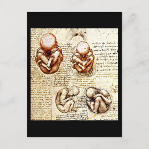 Cartão postal clássico/Vintage-Leonardo da Vinci