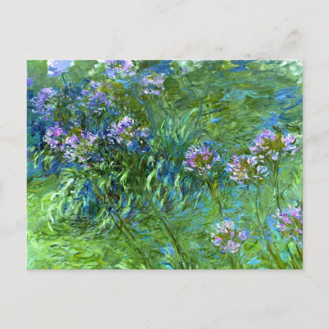 Cartão Postal Claude Monet: Agapanthus (Frente)