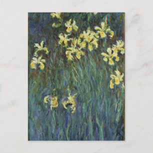 Cartão Postal Claude Monet - Íris Amarelos