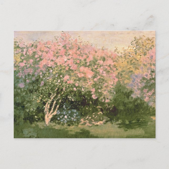 Cartão Postal Claude Monet | Lilac no Sol, 1873 (Frente)