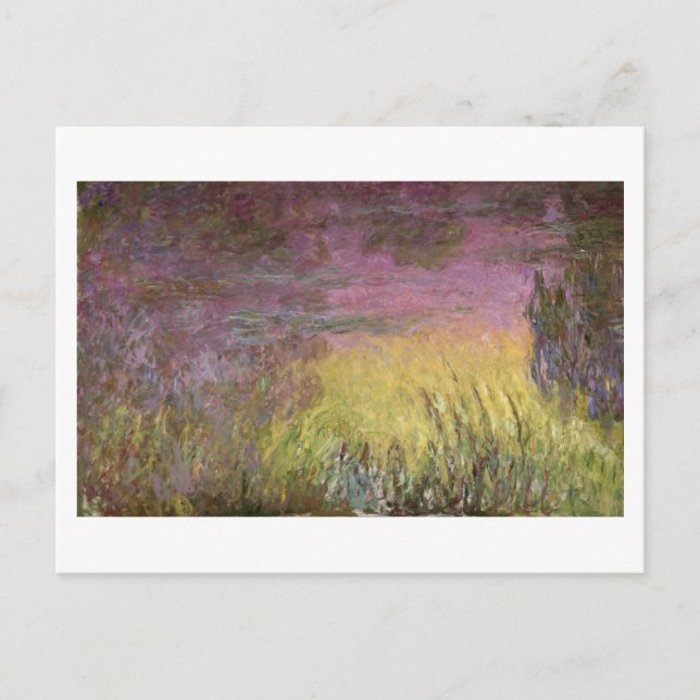 Cartão Postal Claude Monet | Lírios solares (Frente)