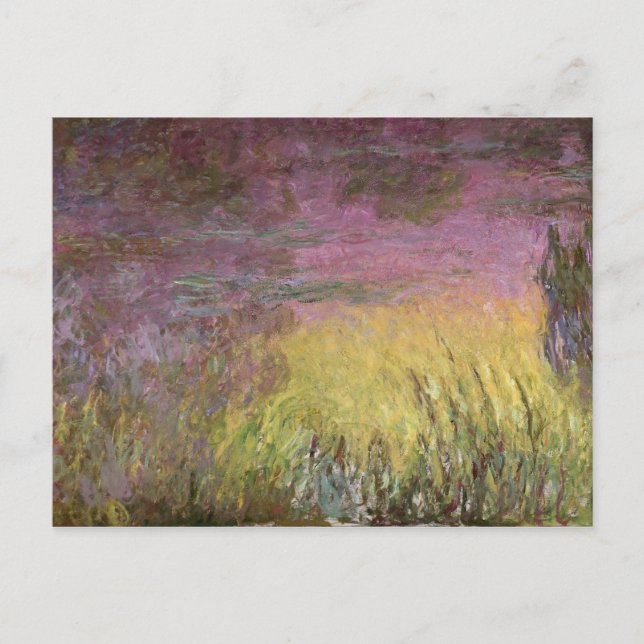Cartão Postal Claude Monet | Lírios solares, 1915-26 (Frente)