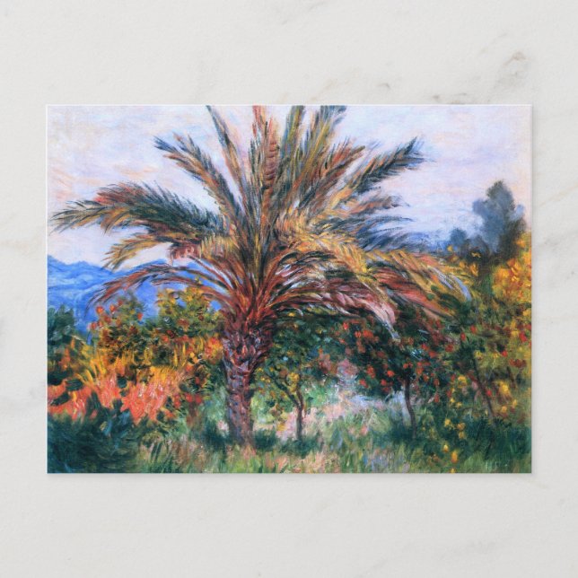 Cartão Postal Claude Monet: Palm Tree em Bordighera (Frente)