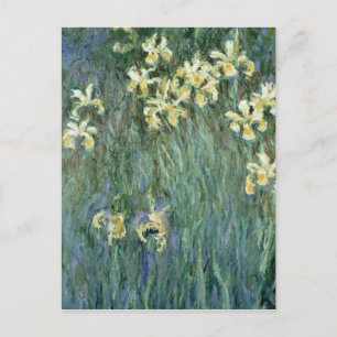 Cartão Postal Claude Monet   The Yellow Irises