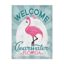 Clearwater Flórida Flamingo Rosa Retro