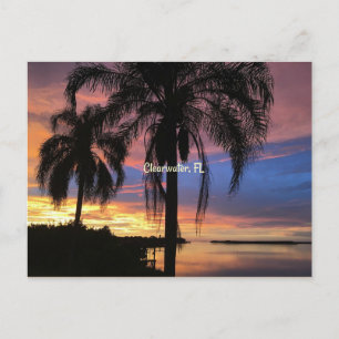 Cartão Postal Clearwater, foto da paisagem da Flórida