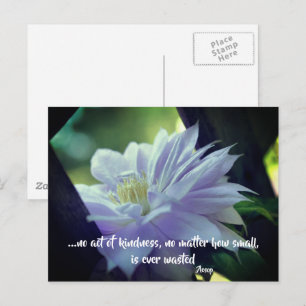 Cartão Postal Clematis Flor Bondade Citação Inspiradora 