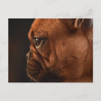 Cartão Postal Clémentine