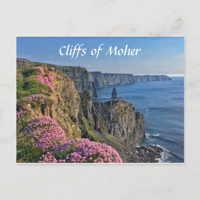 Cartão Postal Cliff of Moher, Irlanda, Cartão-postal das flores (Frente)