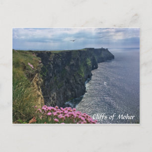 Cartão Postal Cliff of Moher, Irlanda, Flores, Cartão-postal