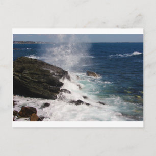 Cartão Postal Cliff Walk em Newport, RI