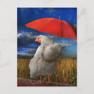 Cartão Postal Clima de Fuga - Chuva Previsível