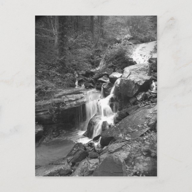 Cartão Postal Climbing the Falls (Frente)