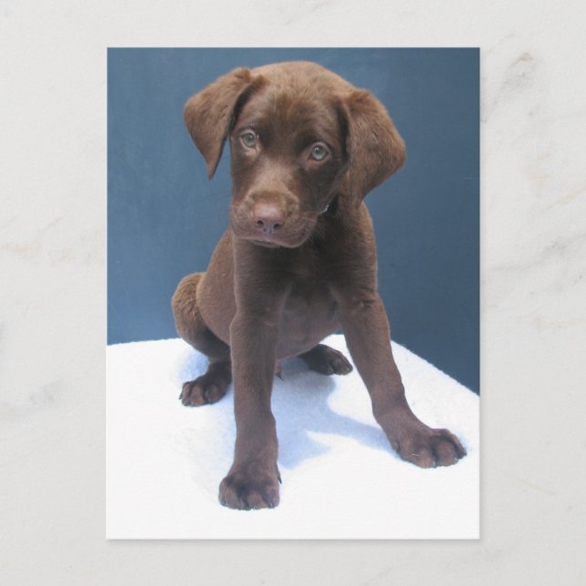 Cartão Postal Clint (Frente)