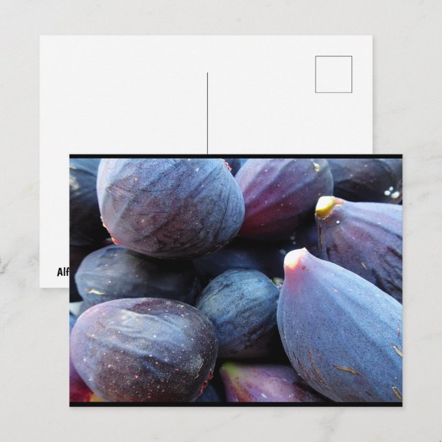 Cartão Postal Close up da Fruta Figo Roxo (Frente/Verso)