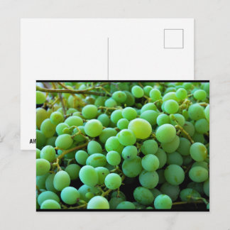 Cartão Postal Close-up de Uvas Brancas