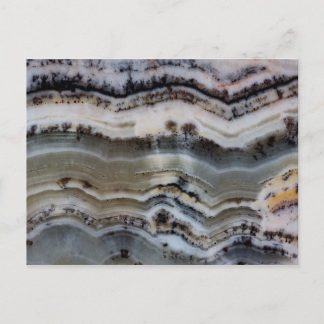 Cartão Postal Close up of a Silver Lace Onyx (Frente)