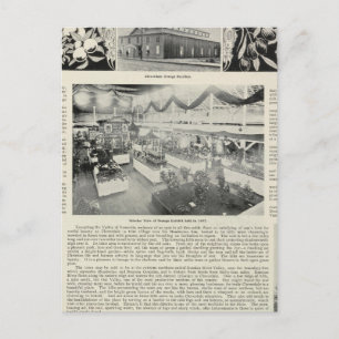 Cartão Postal Cloverdale, Califórnia