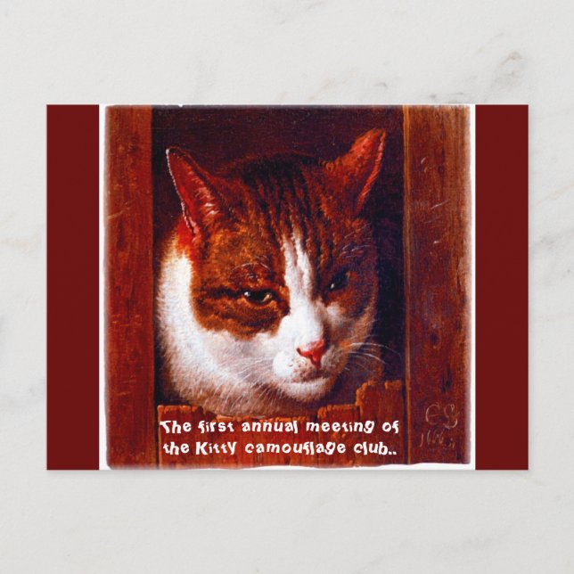 Cartão Postal "clube de camuflagem de Gatinho" (Frente)