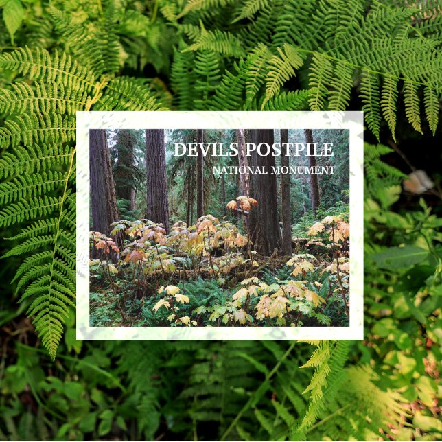 Cartão Postal Clube do Diabo, Devils Postpile Monumento Nacional (Criador carregado)