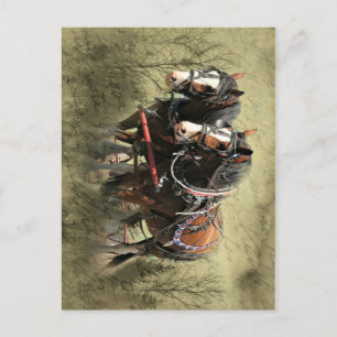 Cartão postal Clydesdale com Vintage Weathered