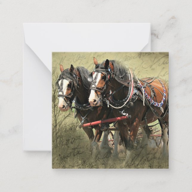 Cartão postal Clydesdale com Vintage Weathered (Frente)