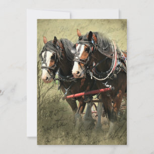 Cartão postal Clydesdale com Vintage Weathered
