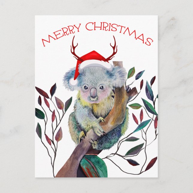 Cartão Postal Coala de Natal vestindo chapéu de Papai Noel    (Frente)