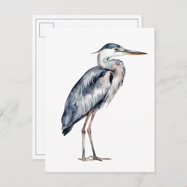 Cartão Postal Coastal Blue Heron Bird (Frente/Verso)