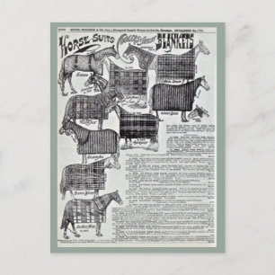 Cartão Postal Cobertores de Cavalo rico