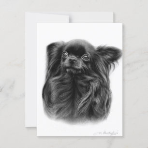 Cartão Postal Cobra Chihuahua Pintada Portrai