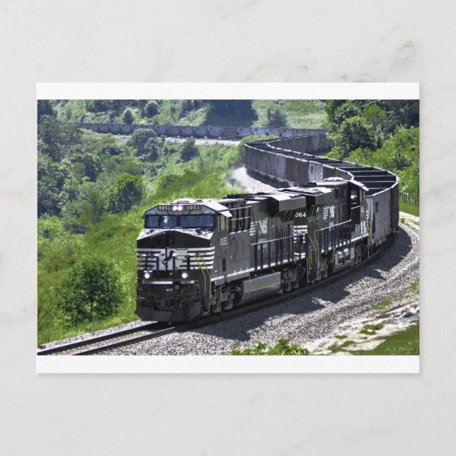 Cartão Postal Cobra de aço (Frente)