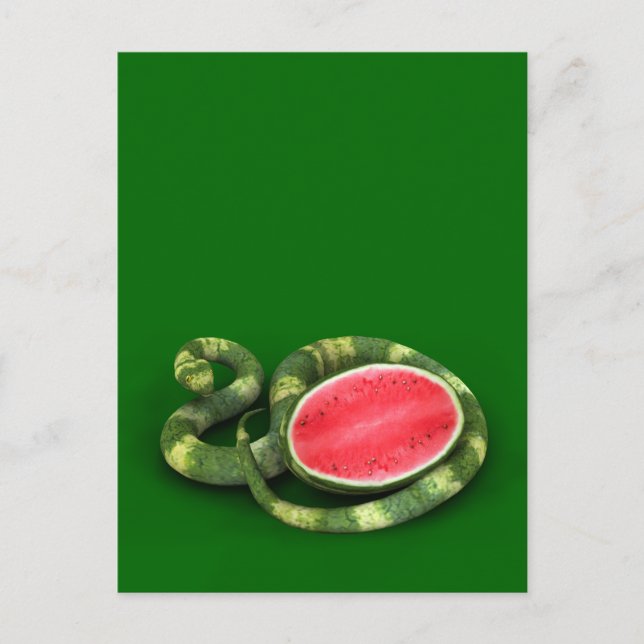 Cartão Postal Cobra de Melancia Verde (Frente)