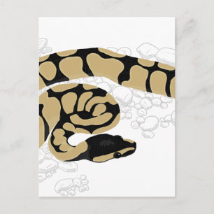 Cartão Postal Cobra Python Ball